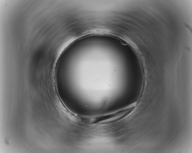 X0000101171248200807071214