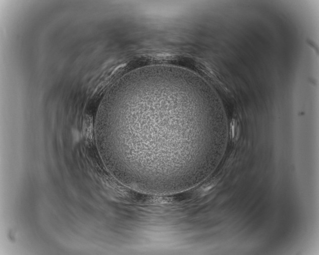 X0000101171251200807071213