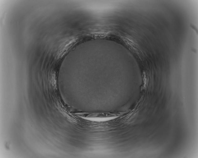 X0000101171252200807071213