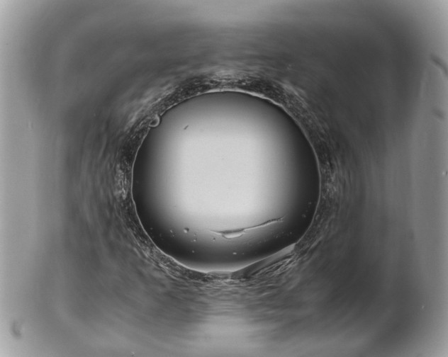 X0000101171253200807071213
