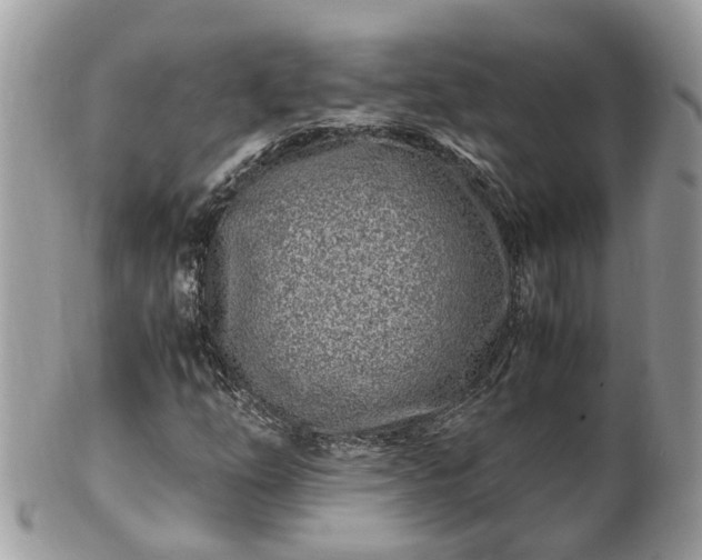 X0000101171254200807071213
