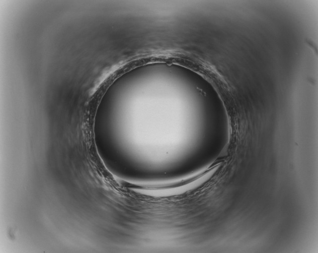 X0000101171256200807071213