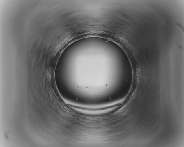 X0000101171257200807071213