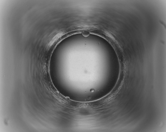 X0000101171259200807071213