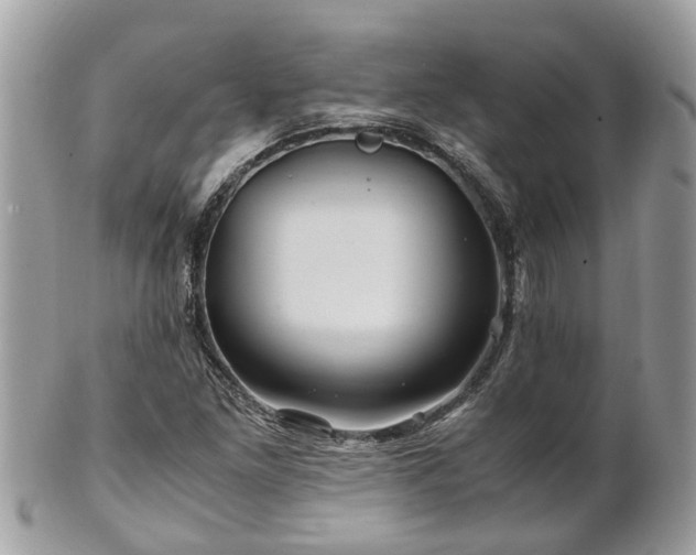 X0000101171261200807071213