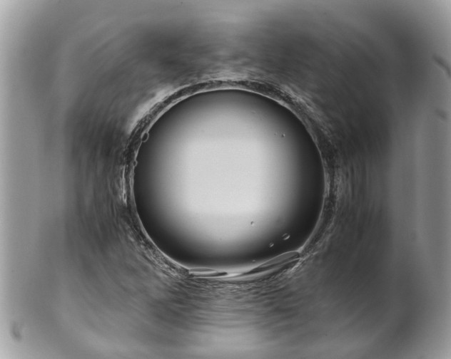 X0000101171262200807071213