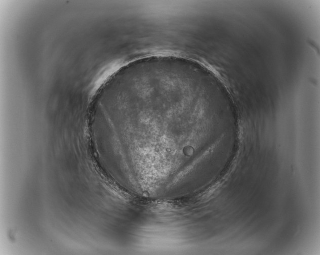 X0000101171263200807071213