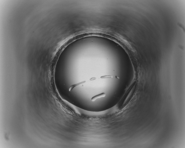 X0000101171264200807071213