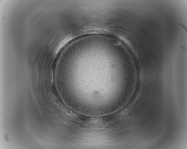X0000101171267200807071213