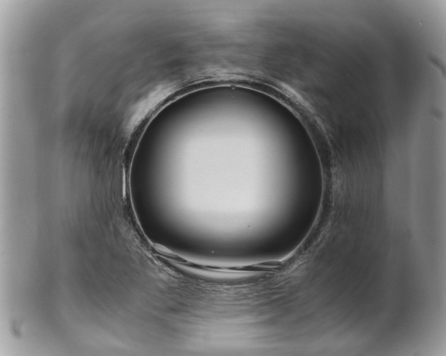 X0000101171269200807071213