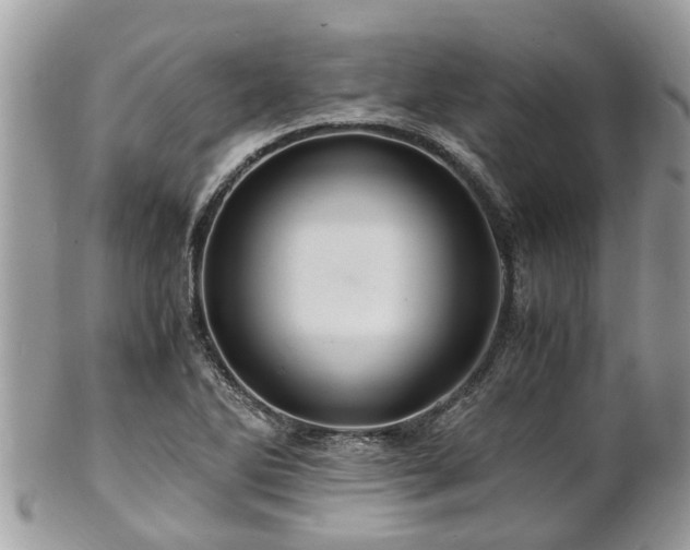 X0000101171270200807071213