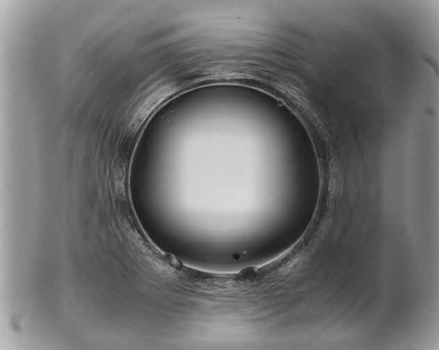 X0000101171273200807071213