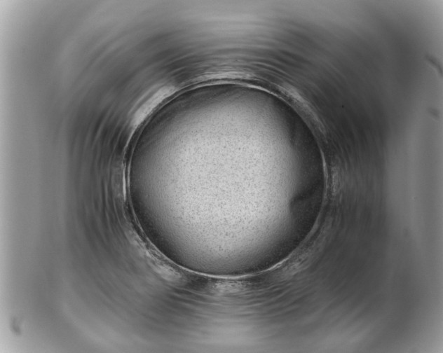 X0000101171274200807071213