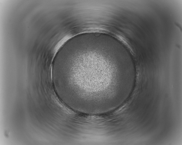 X0000101171275200807071213