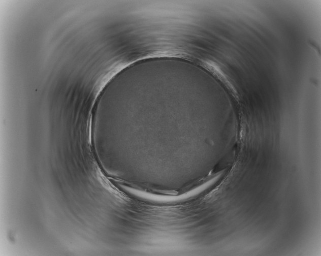 X0000101171276200807071213