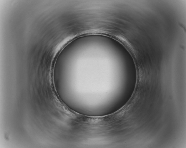 X0000101171278200807071213