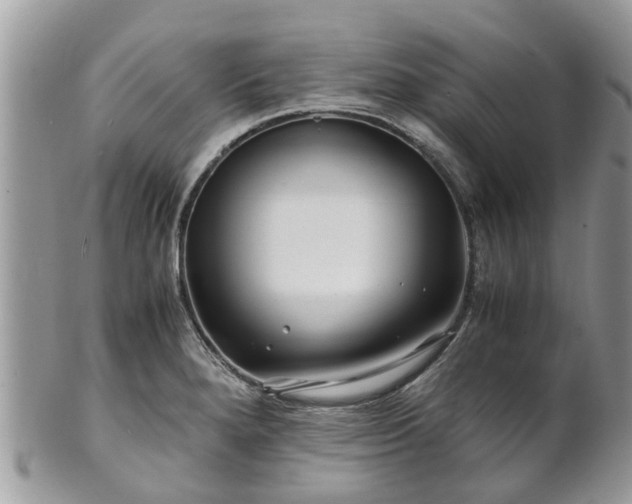 X0000101171280200807071213
