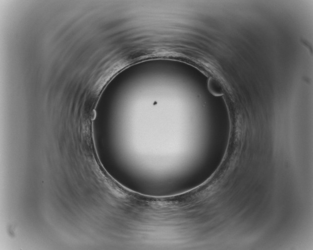 X0000101171281200807071213