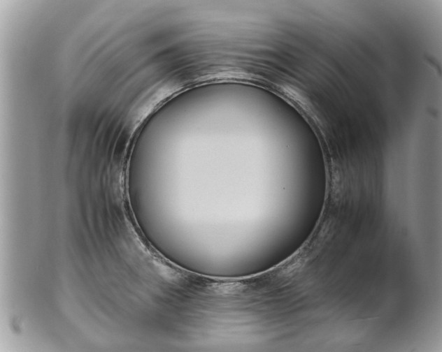 X0000101171282200807071213