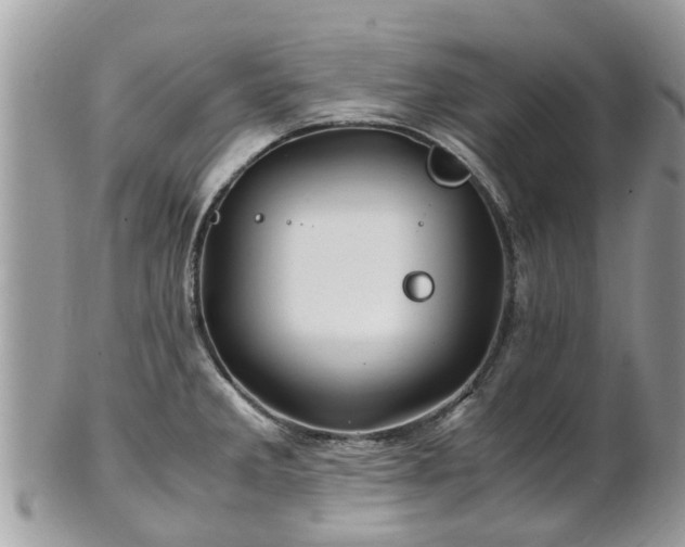 X0000101171285200807071213