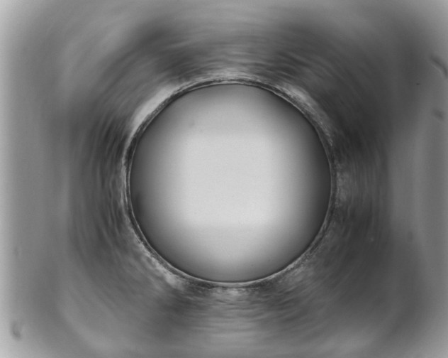 X0000101171286200807071213