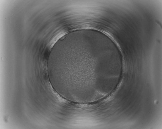 X0000101171289200807071213
