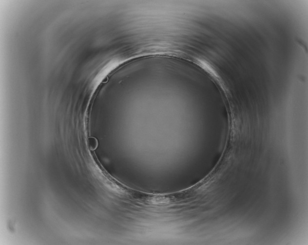 X0000101171291200807071213