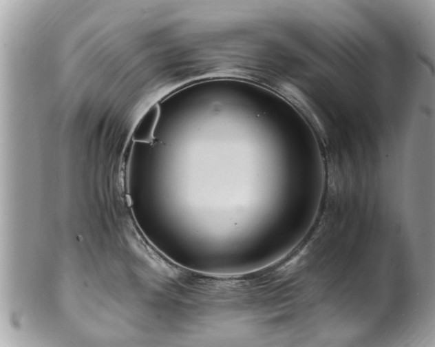 X0000101171292200807071213