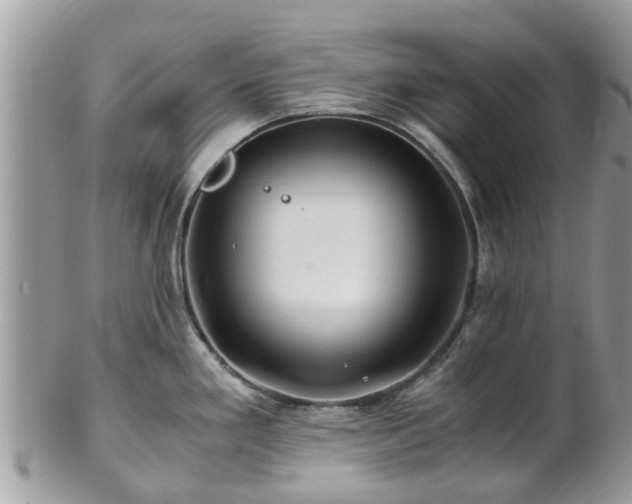X0000101171293200807071213