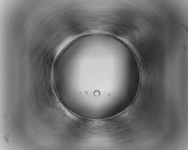 X0000101171294200807071213