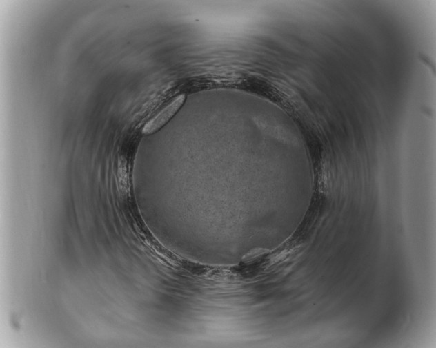 X0000101171298200807071212