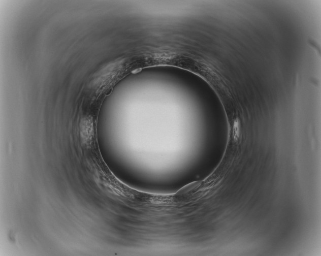 X0000101171299200807071212