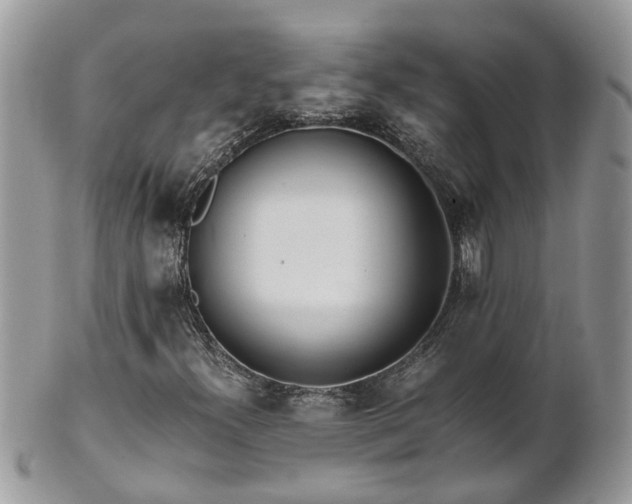 X0000101171300200807071212