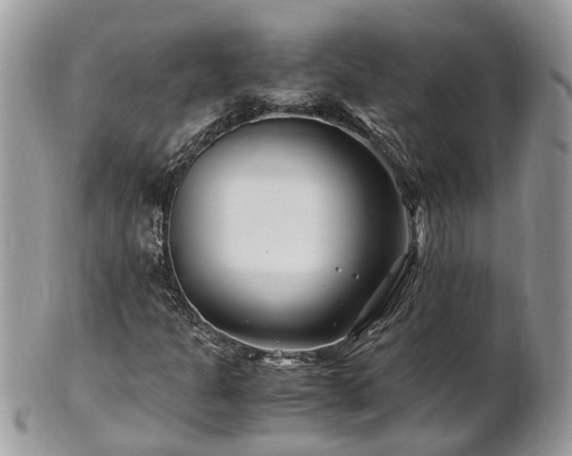 X0000101171301200807071212