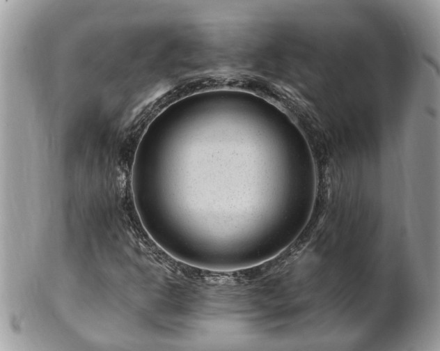 X0000101171302200807071212