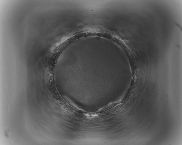 X0000101171303200807071212