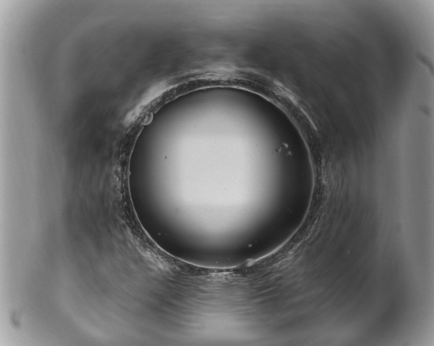 X0000101171304200807071212