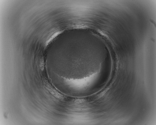 X0000101171306200807071212