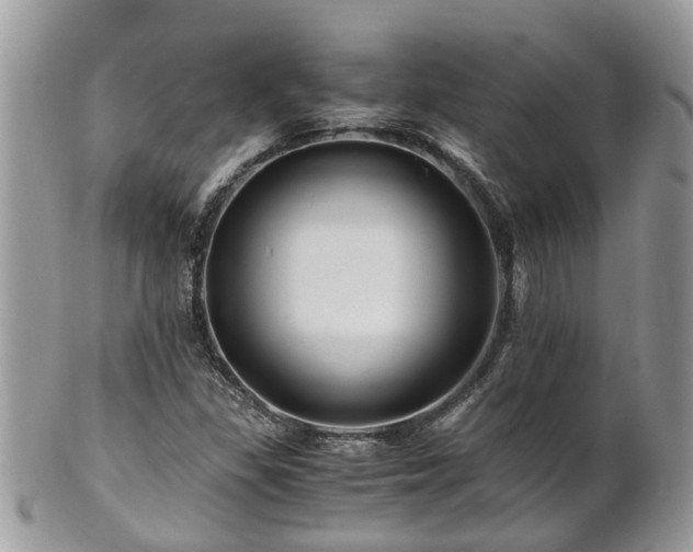 X0000101171309200807071212