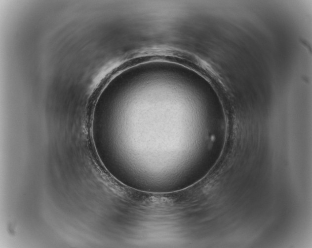 X0000101171312200807071212