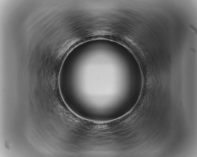 X0000101171313200807071212