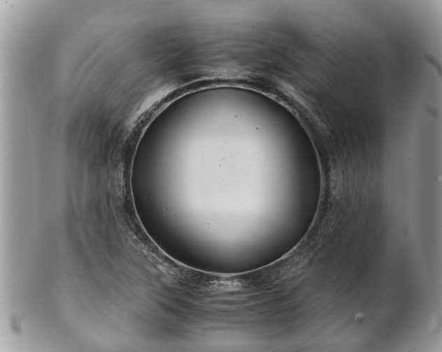 X0000101171315200807071212
