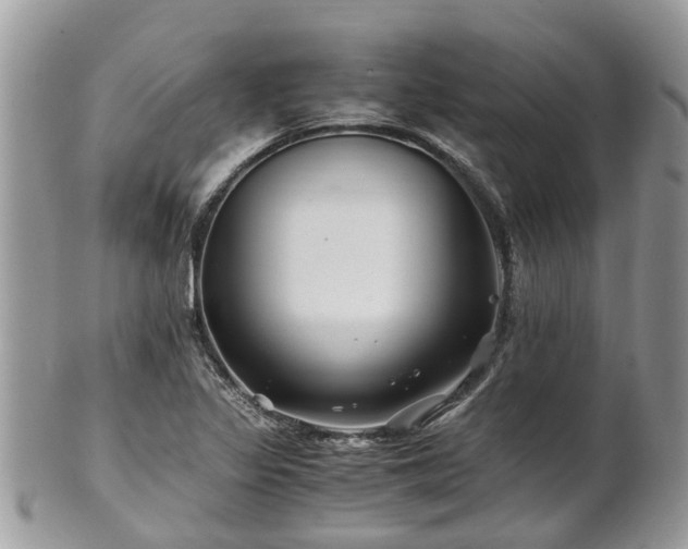 X0000101171317200807071212