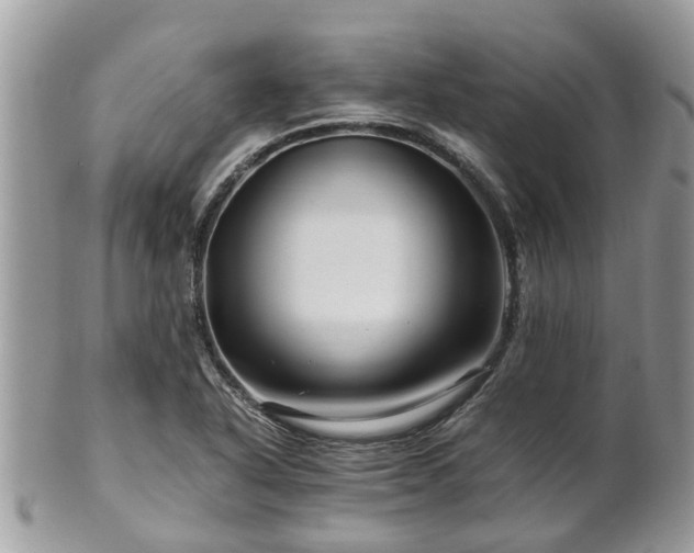 X0000101171318200807071212