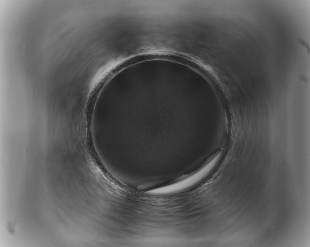 X0000101171319200807071212
