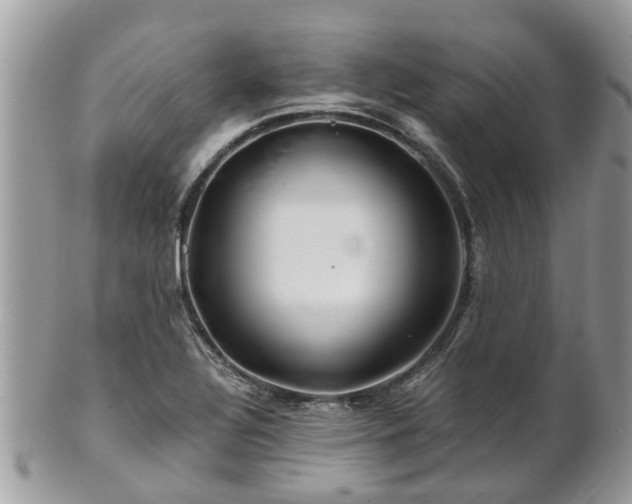 X0000101171320200807071212