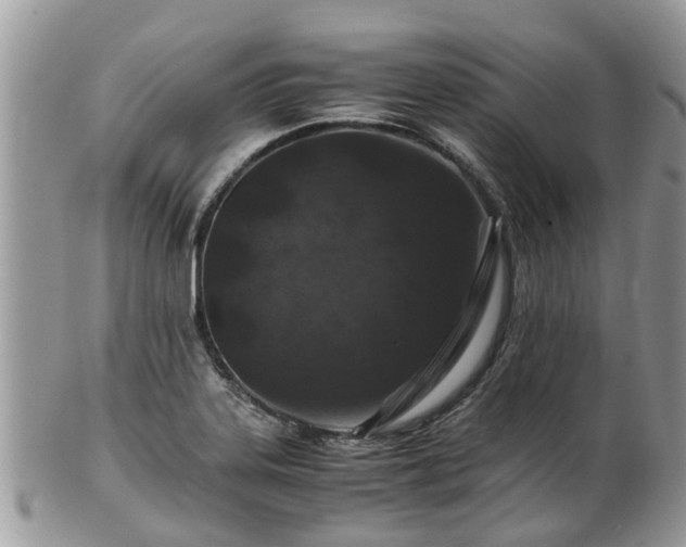X0000101171323200807071212