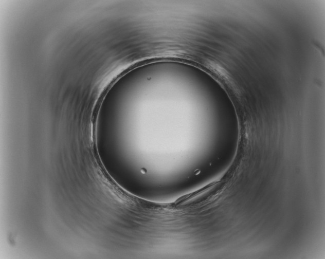 X0000101171324200807071212