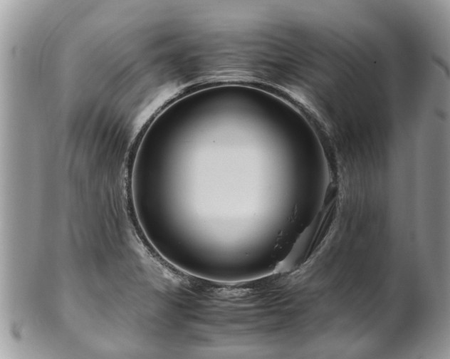 X0000101171325200807071213