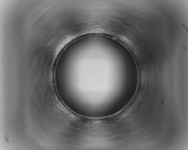 X0000101171326200807071213